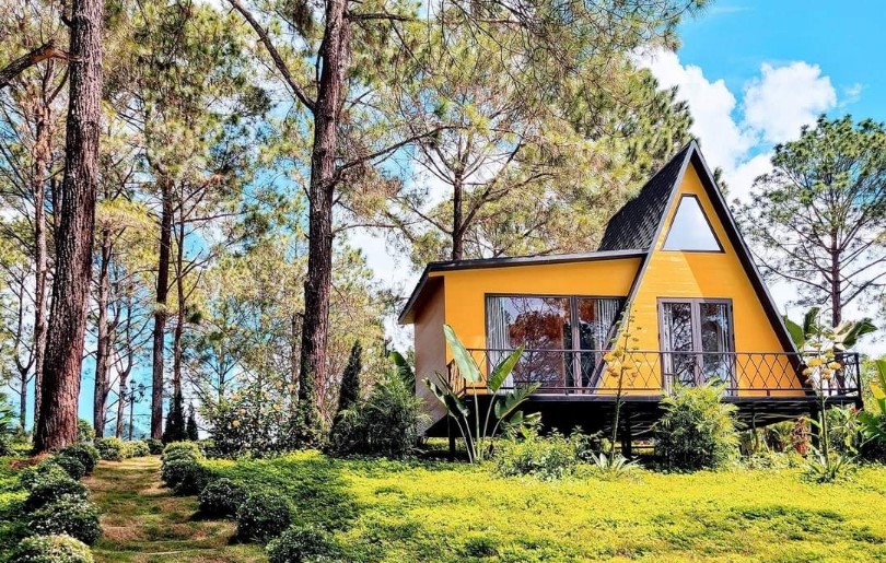 Rừng thông bản áng