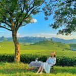 Tham quan mộc châu