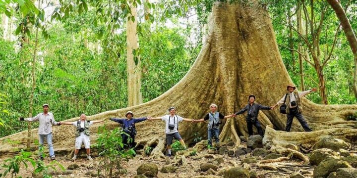 Tour rừng nam cát tiên