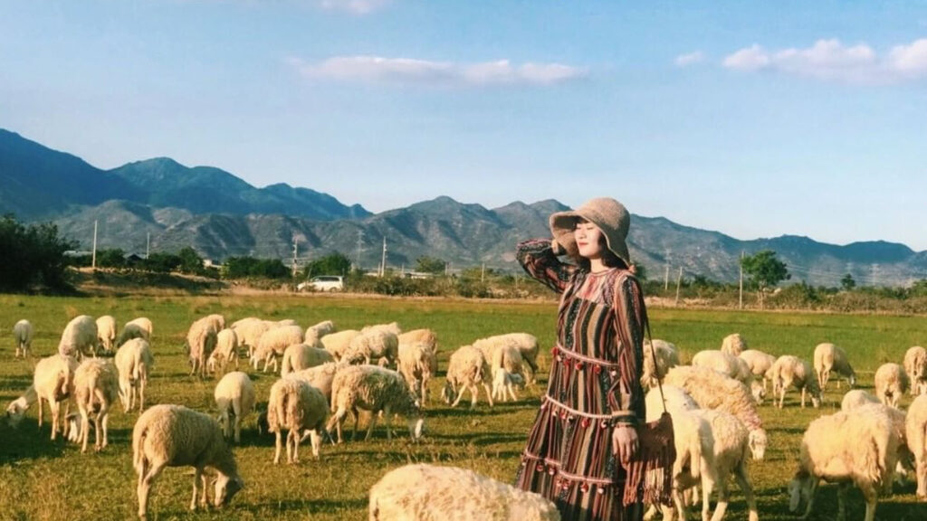 đồi cừu an hoà